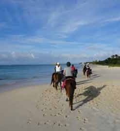 horseback riding in Jamaica
