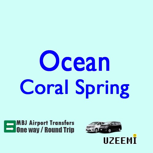 Ocean Coral Spring Transfers